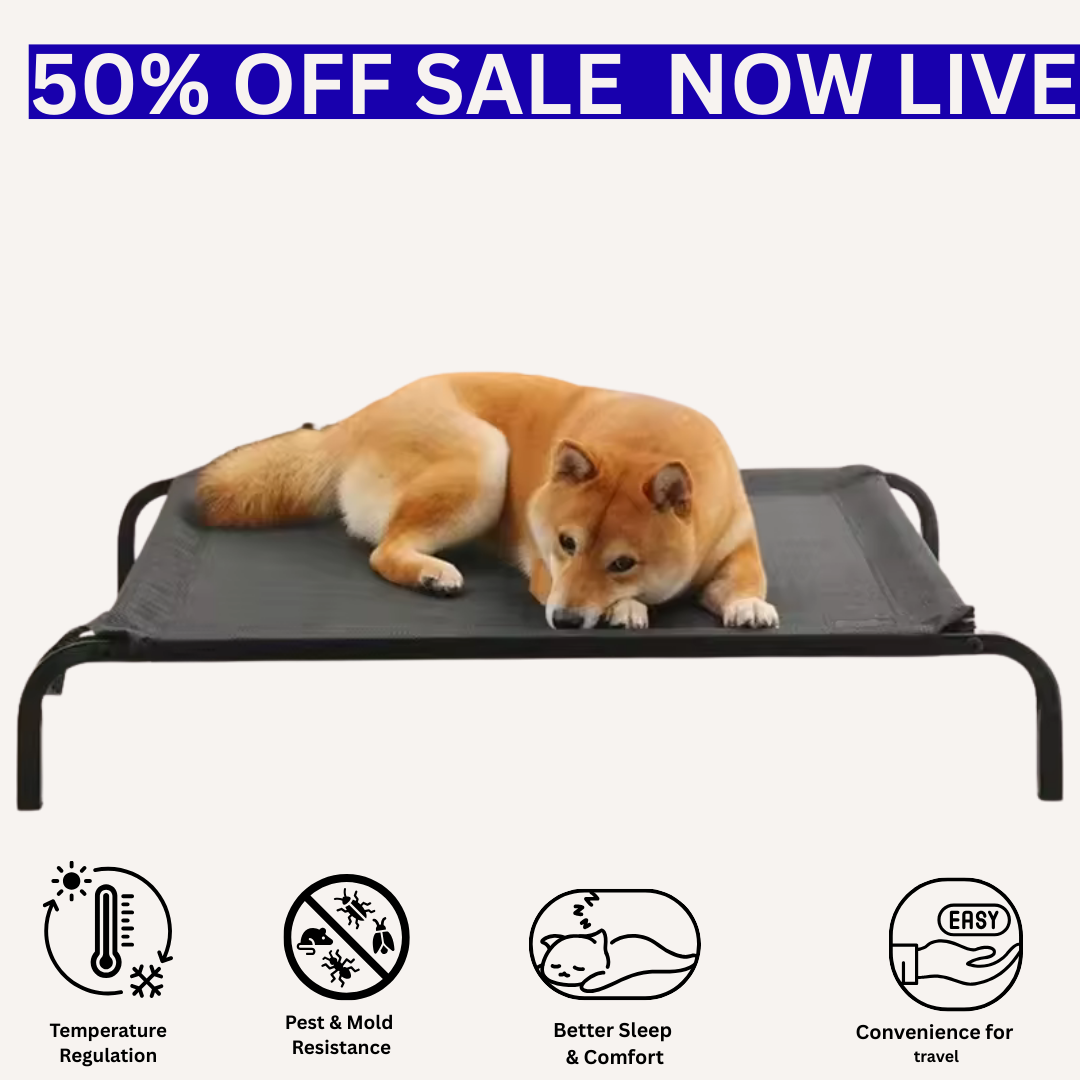 PawPalace Elevated Pet Bed