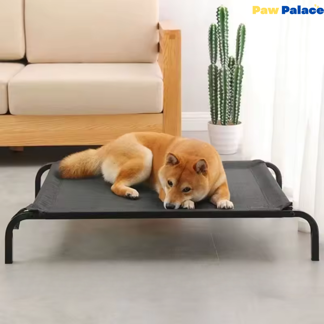 PawPalace Elevated Pet Bed