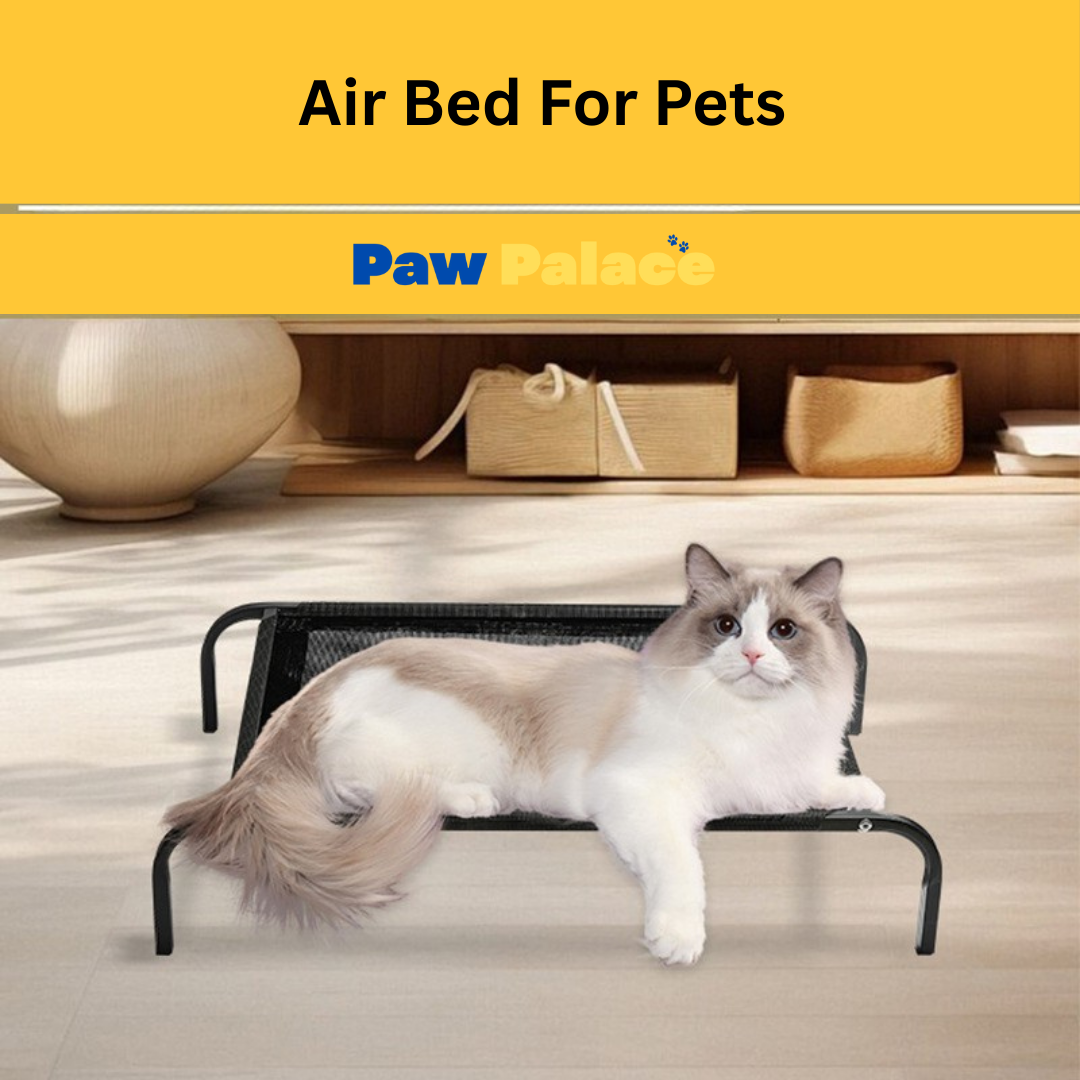 PawPalace Elevated Pet Bed